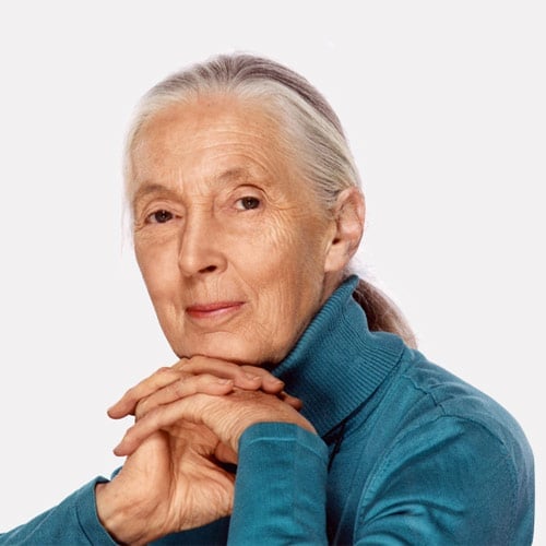 The Iconic Jane Goodall Shares Her Winning Strategies for Creating Change