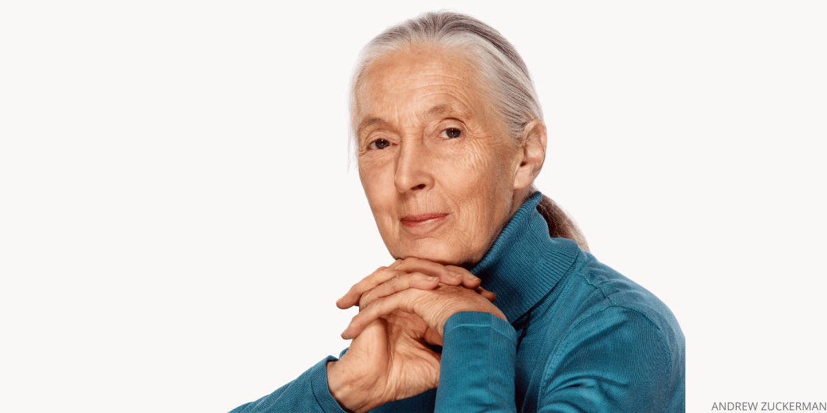 Jane Goodall